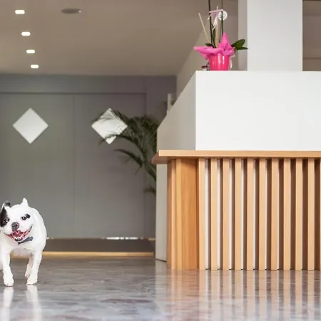 酒店 Adria 阿尔巴·阿德里亚蒂卡