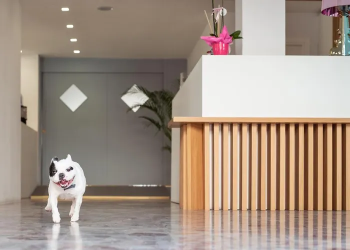 Szálloda Adria Alba Adriatica